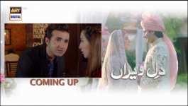 Dil-e-Veeran Episode 34 - 13th Jul 2022